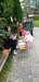 IMG-20251002-WA0116