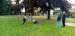 IMG-20251002-WA0121