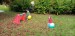 IMG-20251002-WA0122