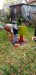 IMG-20251002-WA0130